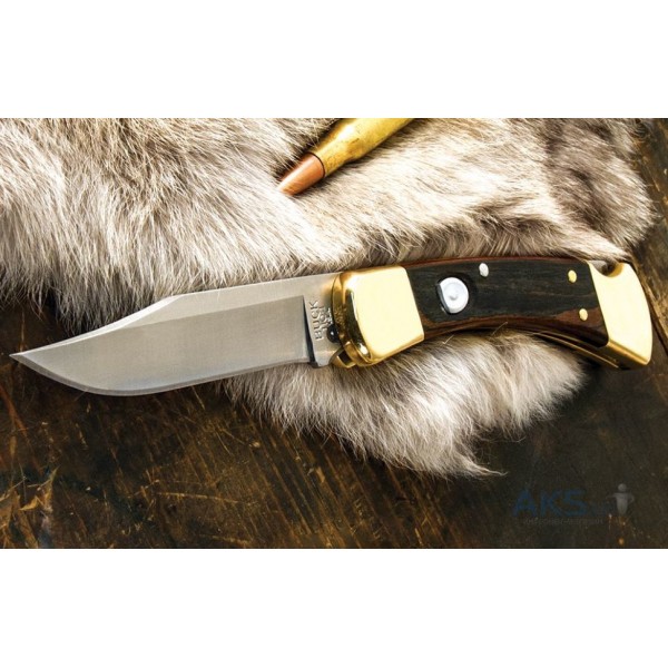 Нож Buck Folding Hunter Auto 110BRSA