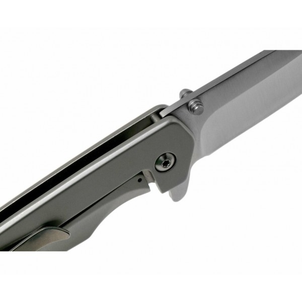 Ніж Buck Odessa 254sss