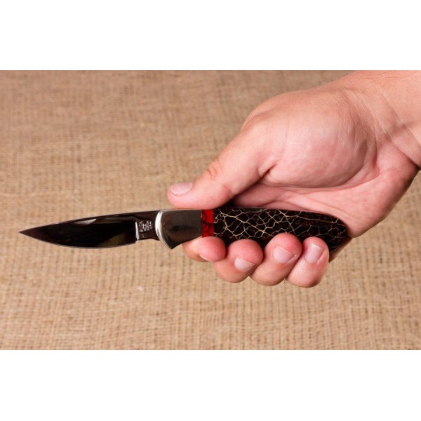 Ніж Buck WBC Prickly Pear Cactus with Bloody Jasper 532CASLE