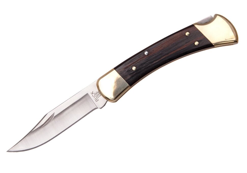 Ніж Buck Folding Hunter 110BRSB